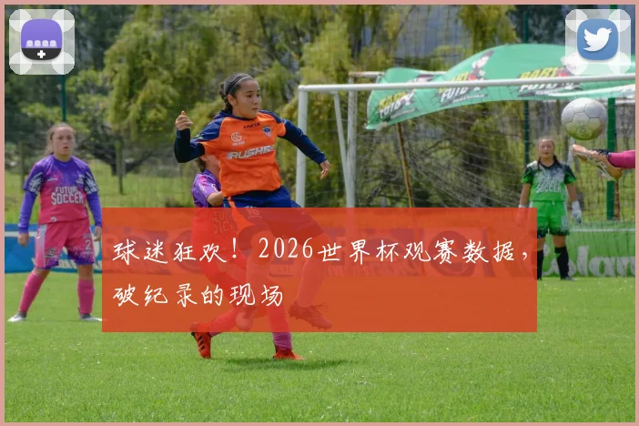 球迷狂欢！2026世界杯观赛数据，破纪录的现场