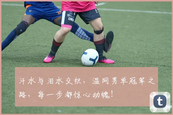 汗水与泪水交织，温网男单冠军之路，每一步都惊心动魄！