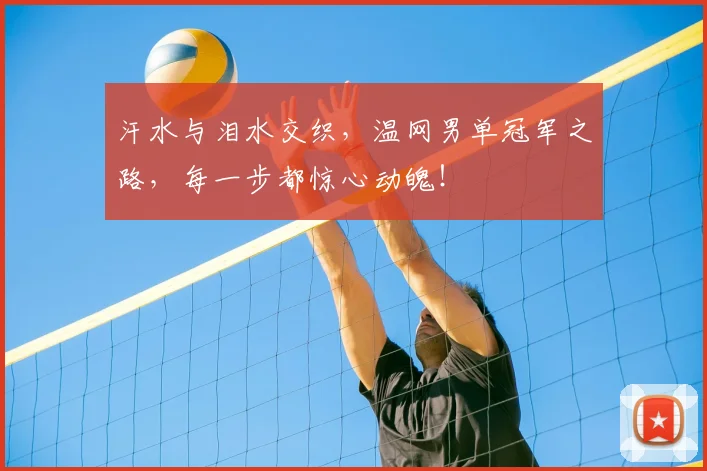 汗水与泪水交织，温网男单冠军之路，每一步都惊心动魄！